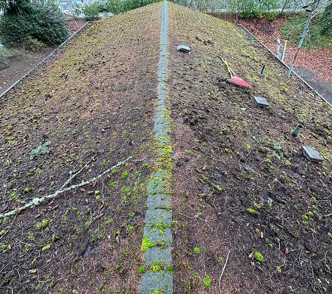 Roof Cleaning